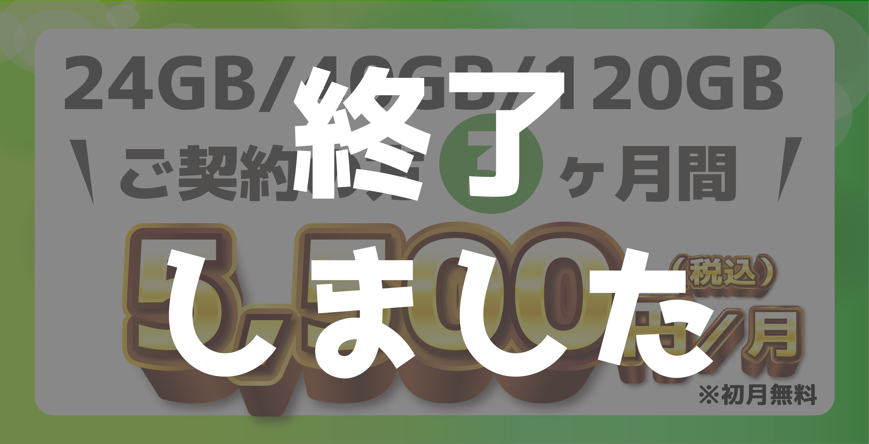 24GB、40GB、120GBプランご契約の方3ヶ月間、月額5,500円（税込）※初月無料