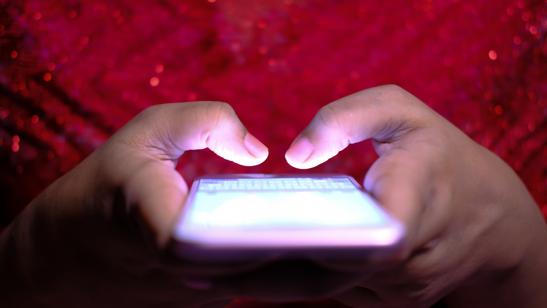 セクション2の写真